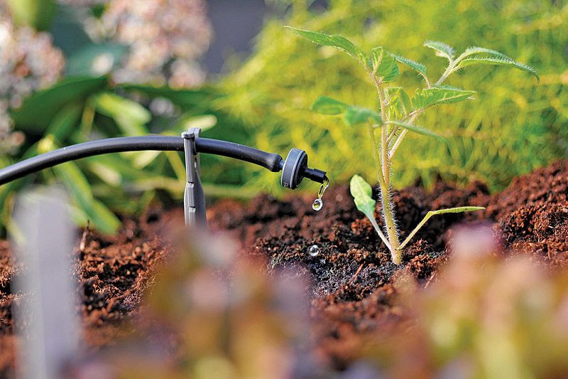 Hệ thống tưới nhỏ giọt cho rau – giải pháp thông minh cho vườn rau